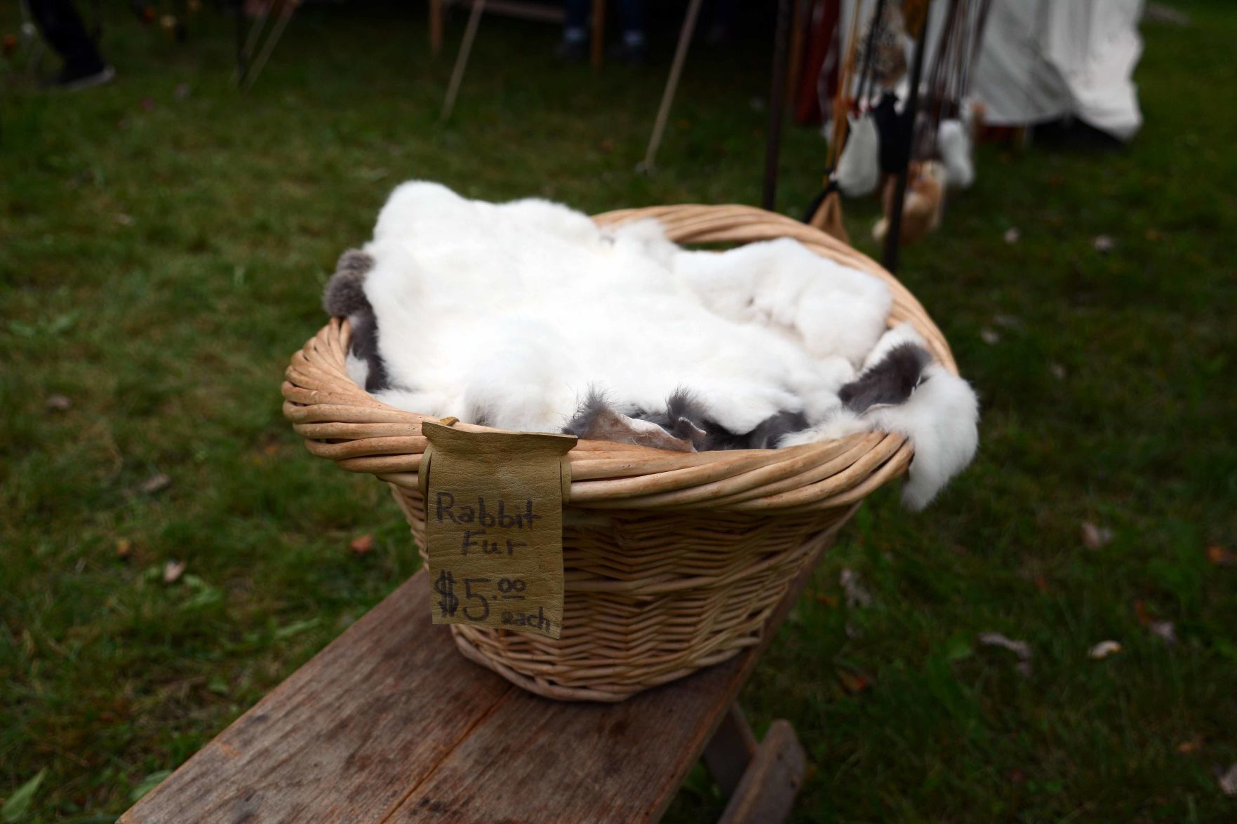 Scenes from the Baraboo River Rendezvous